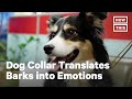 Smart Dog Collar Interprets Pet’s Emotions