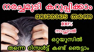 നരച്ചമുടി വേരോടെ കറുപ്പിക്കാം ഇതുമാത്രംമതി ഒറ്റ യൂസിൽ റിസൾട്ട് 100% natural #naturalhairdye #hairdye