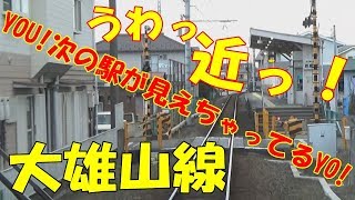 大雄山線に乗りました。五百羅漢駅に感動！