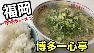 [博多一心亭] 豚骨ラーメン 【福岡ラーメン】【福岡グルメ】