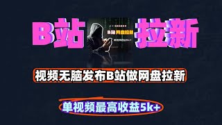 视频无脑发布B站做网盘拉新单视频最高收益5k+