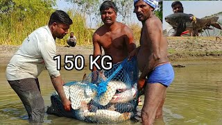 Traditional Fishing Techniques | Amazing Big Fishes | Village Fishing | Fishing Vlogger