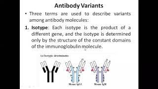 Antibody variants, isotype,allotype and Idiotype