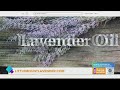 GDL: Little Mount Lavender has many healing products that can benefit your skin