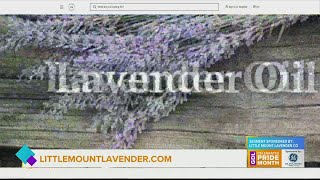 GDL: Little Mount Lavender has many healing products that can benefit your skin