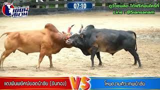 แดงพันพยัคฆ์ยอดนำชัย (ขันทอง) VS โหนดงามศิวะเทพนำชัย 12/7/67