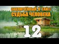 ЗАКЛЮЧЕННЫЙ В ТАЙГЕ ДОБЫЧА АЛМАЗОВ РАБОТА НА САМОСВАЛЕ АЛМАЗНЫЙ ПРИИСК СУДЬБА ЧЕЛОВЕКА 12