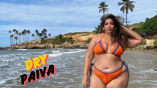 Dry Paiva ~ Plus Size Curvy Model ~ Bio,Facts,Wiki