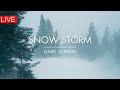 Snow Storm in Forest | 24/7 | Winter Storm & Howling Wind Sounds For Sleeping