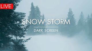 🔴 Snow Storm in Forest | NONSTOP | Winter Storm & Howling Wind Sounds For Sleeping 🌨
