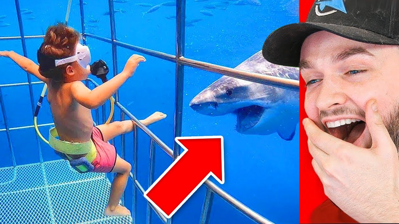 World S Hardest Try Not To Laugh Challenge Housepetscare