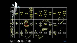 11002選修生物三ch4 1 33周邊神經系統 自律神經的功能(二溫)