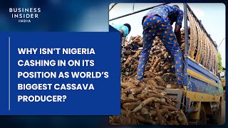 Nigeria Is The Biggest Cassava Producer In The World. Why Isn’t It Cashing In On The Global Market?