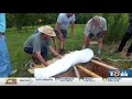 WVLT Original: No casket? No problem! Some Tennessee residents are going back to 'natural burials'