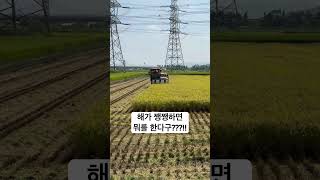 해가 쨍쨍한날 2024년 햅쌀수확완료🌾🌾#콤바인