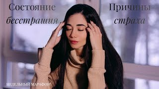 Состояние бесстрашия. Причины страха