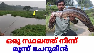 സാഹസിക ചേറാൻ വേട്ട/snakehead fishing/fishing feel.