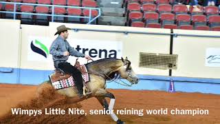 2017 AQHA Senior Reining