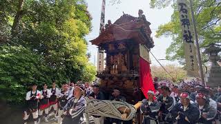 常滑市　旧常滑地区祭礼　お木遣　「北条字・神明車」