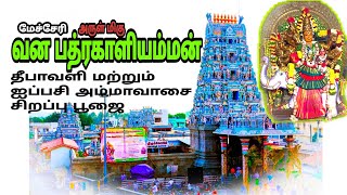 மேச்சேரி வன பத்ரகாளியம்மன் திருக்கோவில் தீபாவளி மற்றும் அம்மாவாசை சிறப்பு 🍀🌸#god #devotional #video