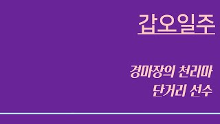 갑오일주 ㅣ (31), 경마장의 천리마, 단거리 선수, 독설가지만 내심은 순둥이