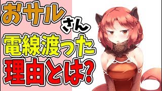 【けものフレンズ2】【動物】かわいいおサルさんの紹介とおもしろい解説をします！人間と同じ文化行動をします...【VTuber】