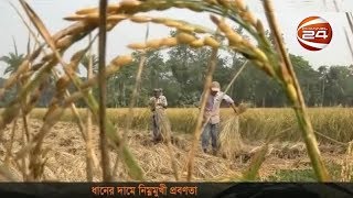 চালের নিম্নমুখী দরে নেতিবাচক প্রভাব পড়ছে ধানের দামেও