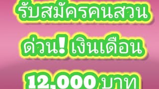 รับสมัคร คนสวนประจำโรงเรียน ด่วน! เงินเดือน 12,000 บาท #หางาน #สมัครงาน #งานสวน