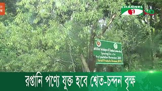 চট্টগ্রামে শ্বেত-চন্দনের বাগান গড়ে তোলা হচ্ছে