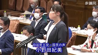 参議院 2022年06月13日 決算委員会 #04 小野田紀美（自由民主党・国民の声）