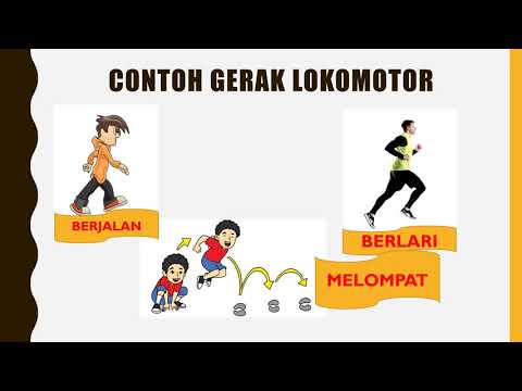 Contoh Gerak Lokomotor Gerak Lokomotor Dan Non Lokomotor Berbeda | The ...