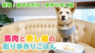 【簡単手作り犬ご飯】馬肉と蒸し鶏の彩り手作りごはん【帝塚山ハウンドカム】