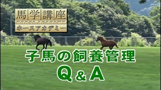 馬学講座ホースアカデミー４　３．子馬の飼養管理Ｑ＆Ａ