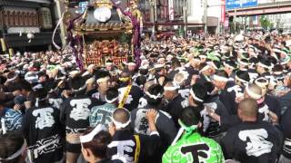 下谷神社本社神輿2016神輿委員直近完全収録保存版1