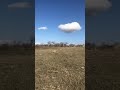 beautiful cheetah sighting on safari in south africa