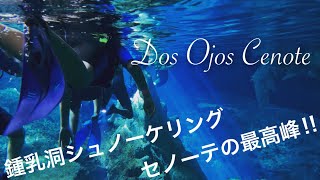 【メキシコ】《世界の絶景》セノーテドスオホス〜神秘の水中鍾乳洞〜