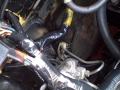 Project Import: How not to do an engine swap....... Part 2