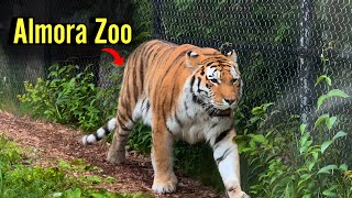 Top 5 Reasons to Visit Almora Zoo | A Hidden Gem in Uttarakhand