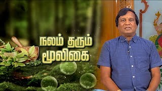 நலம் தரும் மூலிகை | Nalam Tarum Mooligai | Makkal TV