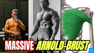 3 Übungen für eine MASSIVE Brust wie Arnold Schwarzenegger - Der Ultimate Guide zum Muskelwachstum!