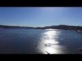 sea gulls on frozen lake mohawk