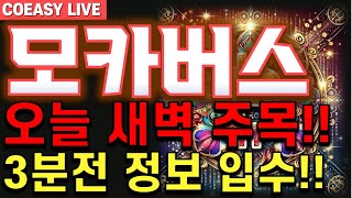 [모카버스 전망] \