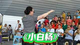 【中国歌谣】军旅歌曲《小白杨》指挥／杨芳，蓝天合唱团演唱