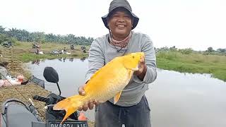 HASIL KOLAM RONI/SANTO RAWABADAK/BUKA 2 TM ABIS MAGERIB TGL 15-2-25 TKT 100K