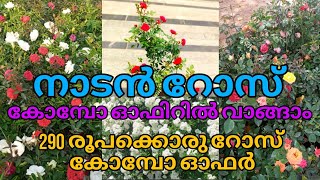 🥰💐നാടൻ റോസകളുടെ കോമ്പോ ഓഫർ സ്വന്തമാആക്കിയാലോ വെറും 290 രൂപയ്ക്ക് #reels #garden #plants