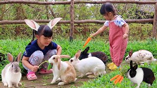 Yuk Kasih Makan Kelinci Lucu dan Kasih Minum Susu Sapi - Mengenal Binatang untuk Anak Anak