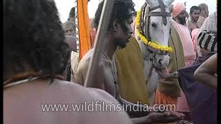 Naga sadhus taking dip in Mahakumbh Mela, Prayagraj