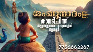 മുരുകസ്വാമി തുള്ളൽ , ശംഖുനാദം #chinthupattu #murugansongs #murugan #palani #temple