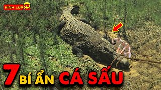 🔥 7 Bí Ẩn Ly Kỳ Và Thú Vị về Cá Sấu Mà Chưa Có Ai Nói Cho Bạn Biết | Kính Lúp TV