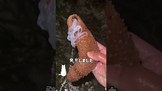 白い液体を吐き出す生命体